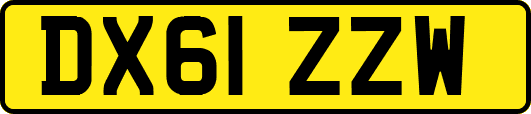 DX61ZZW
