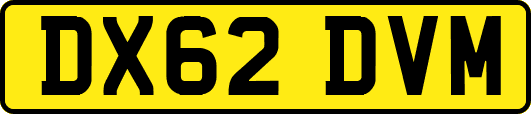 DX62DVM