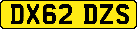 DX62DZS