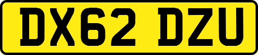 DX62DZU