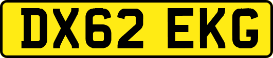 DX62EKG
