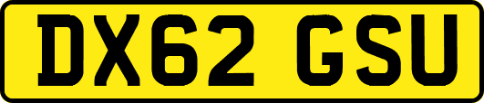DX62GSU