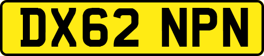 DX62NPN