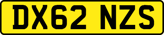 DX62NZS