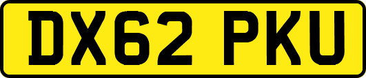 DX62PKU