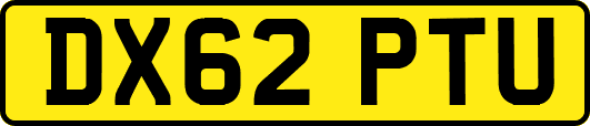 DX62PTU