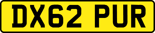 DX62PUR
