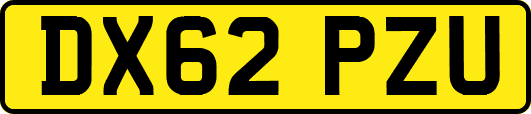 DX62PZU