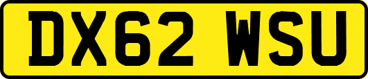 DX62WSU