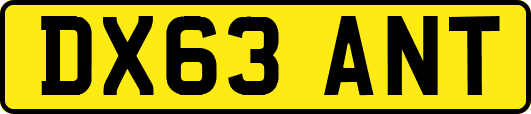 DX63ANT