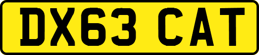 DX63CAT
