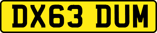 DX63DUM