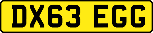 DX63EGG