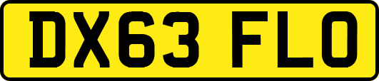 DX63FLO