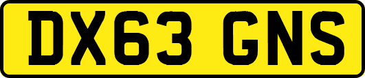 DX63GNS