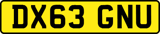 DX63GNU