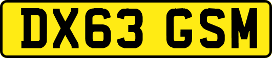 DX63GSM