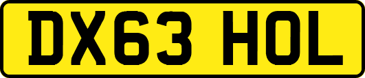 DX63HOL