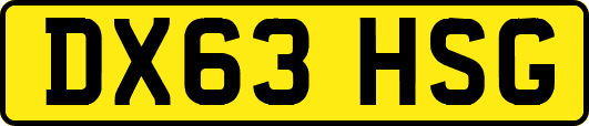 DX63HSG
