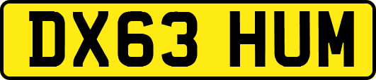 DX63HUM