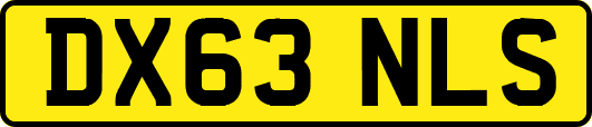 DX63NLS