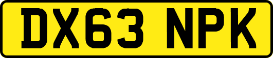 DX63NPK