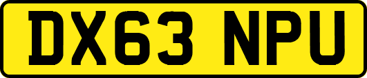 DX63NPU
