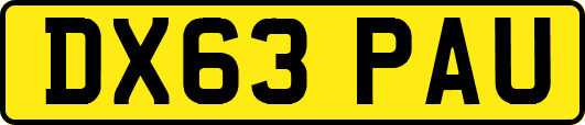 DX63PAU