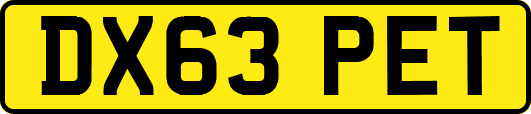 DX63PET
