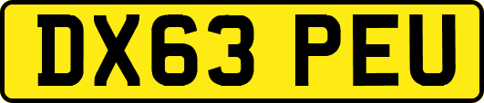 DX63PEU