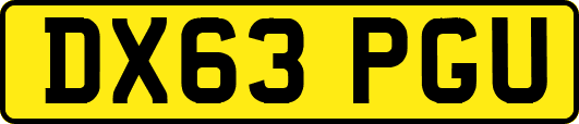 DX63PGU