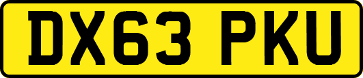 DX63PKU