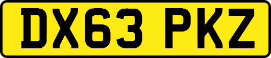 DX63PKZ