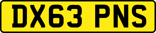 DX63PNS