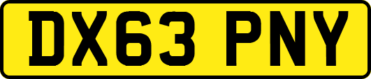 DX63PNY