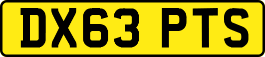 DX63PTS