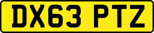 DX63PTZ