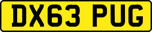 DX63PUG