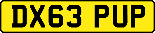 DX63PUP