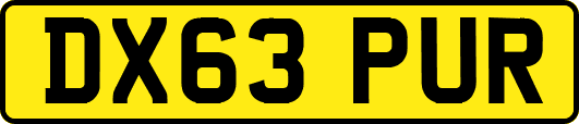 DX63PUR