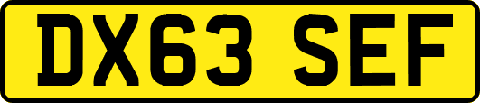 DX63SEF