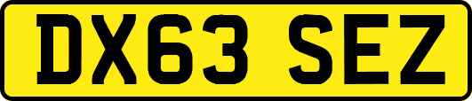 DX63SEZ
