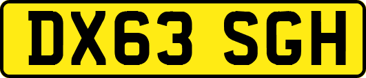 DX63SGH