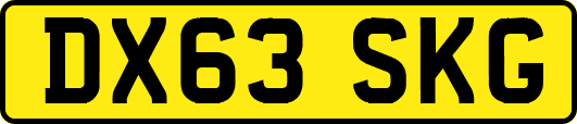 DX63SKG