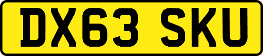 DX63SKU