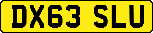 DX63SLU