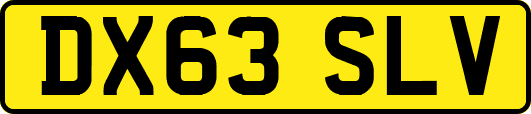 DX63SLV