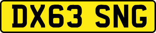 DX63SNG