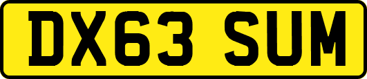 DX63SUM