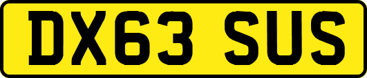 DX63SUS